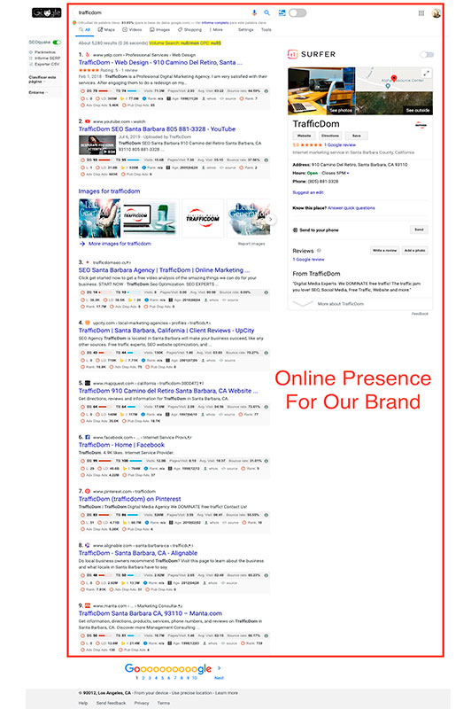 TrafficDom Seo online presence of the brand.